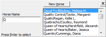 Entry Screen Horse Name