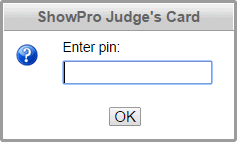 Pin Prompt